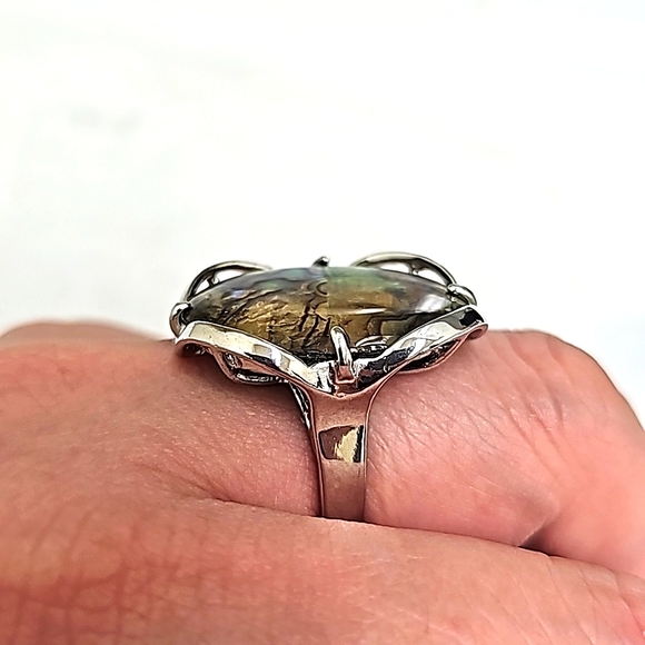 Silvertone Statement Abalone Shell Ring - Picture 4 of 5